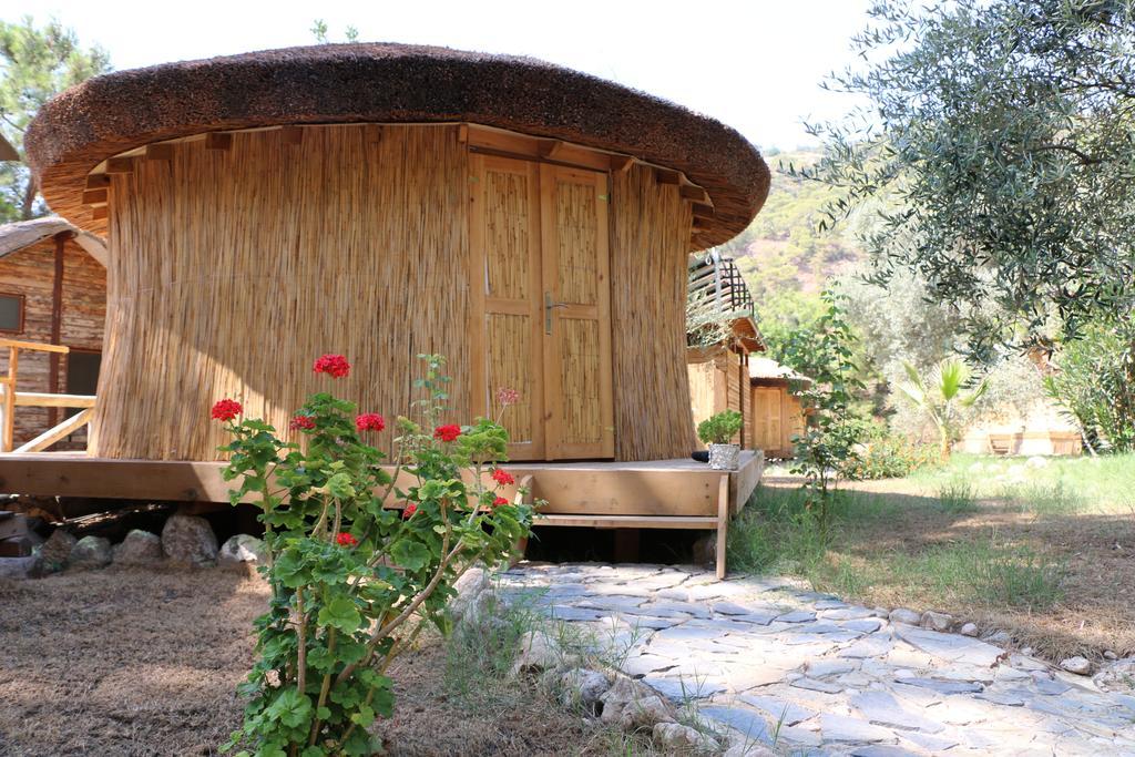 Chakra Beach Kabak ฟารัลยา ภายนอก รูปภาพ