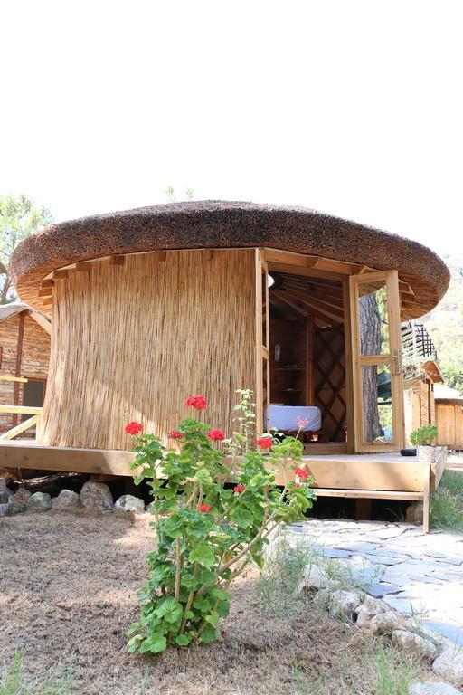 Chakra Beach Kabak ฟารัลยา ภายนอก รูปภาพ
