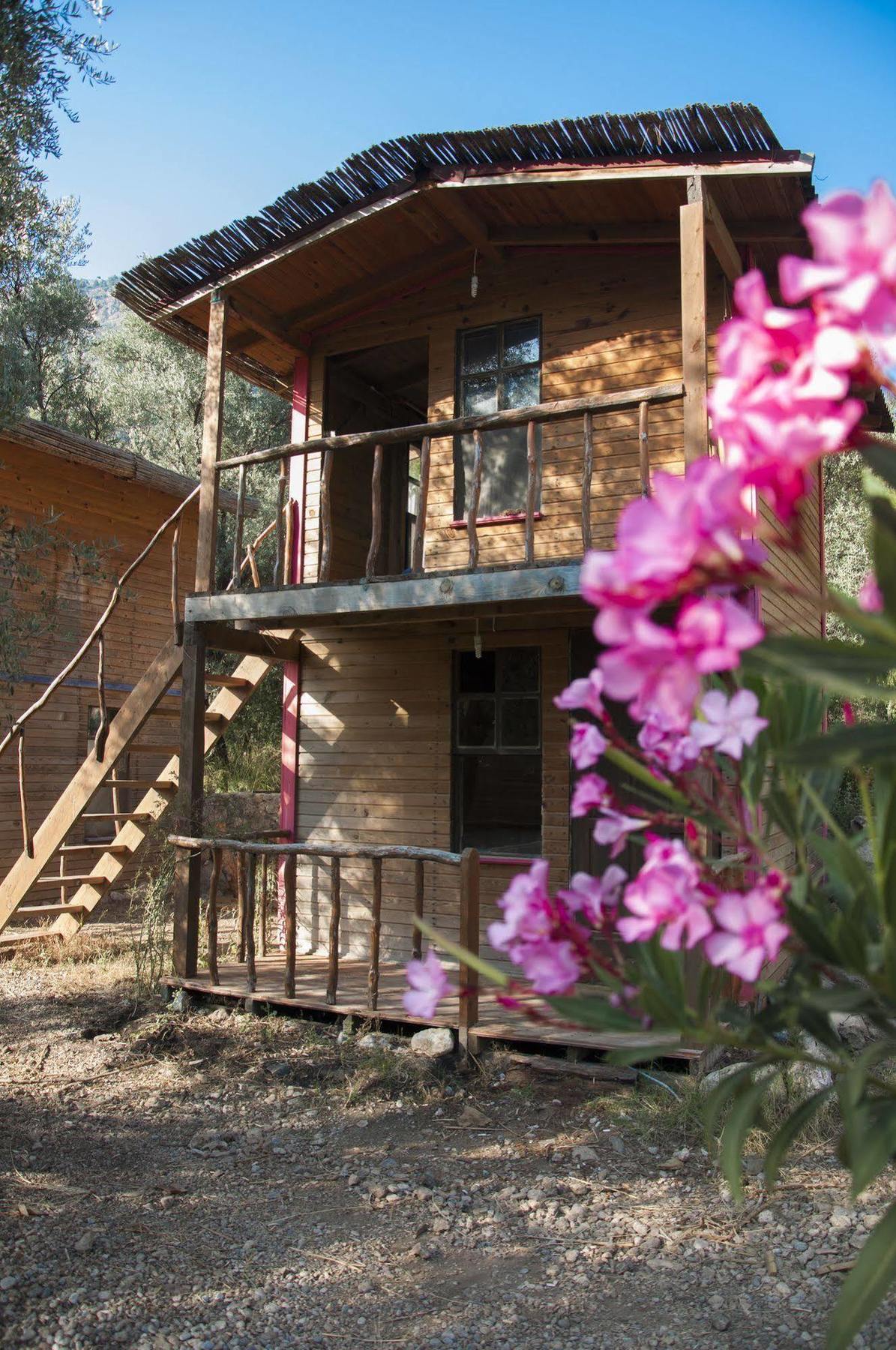 Chakra Beach Kabak ฟารัลยา ภายนอก รูปภาพ